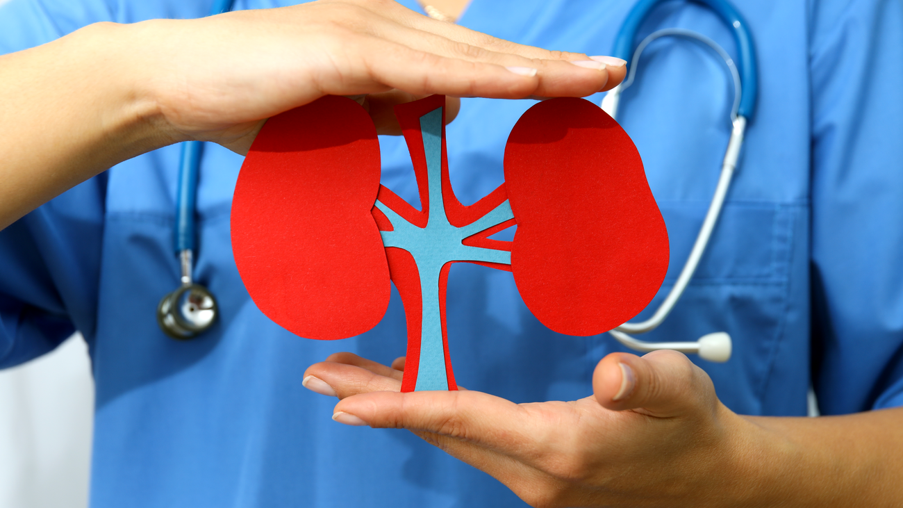 Arranca la campaña 'Adelántate' para prevenir la enfermedad renal crónica, insuficiencia cardíaca y diabetes