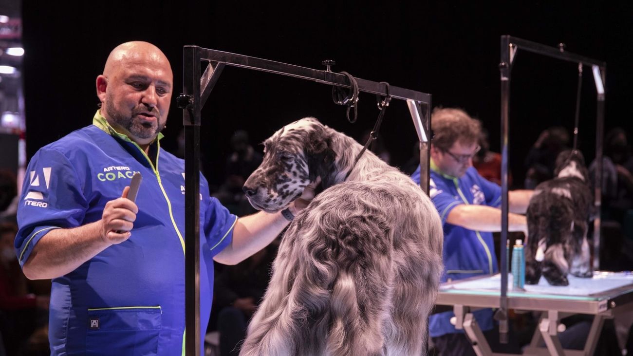 Llega Iberzoo, un paseo por lo último en el cuidado de las mascotas