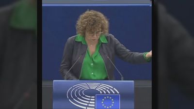 El PP denuncia en el Parlamento Europeo la "corrupción" del PSOE por el 'caso Koldo'