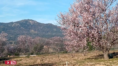 Tras el invierno más cálido desde 1870, ¿cómo será esta primavera en Madrid?