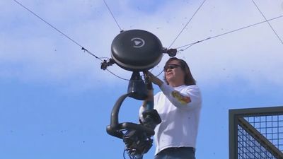 El 'asesino de abejas' que salvó a Carlos Alcaraz en Indian Wells