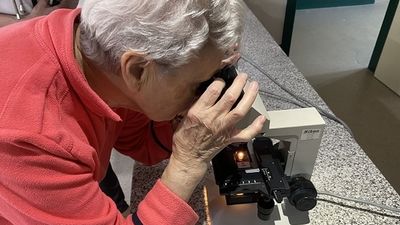 La Complutense celebra la Semana del Cerebro en dos centros de mayores de Madrid