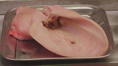 La oreja de cerdo más grande que hemos visto en 'Sabor a Madrid'