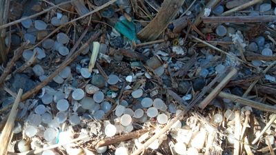 "Cada día se derraman en Europa  250.000 'pelets' por segundo", protesta contra contaminación por 'pelets' de plástico frente a la Eurocámara