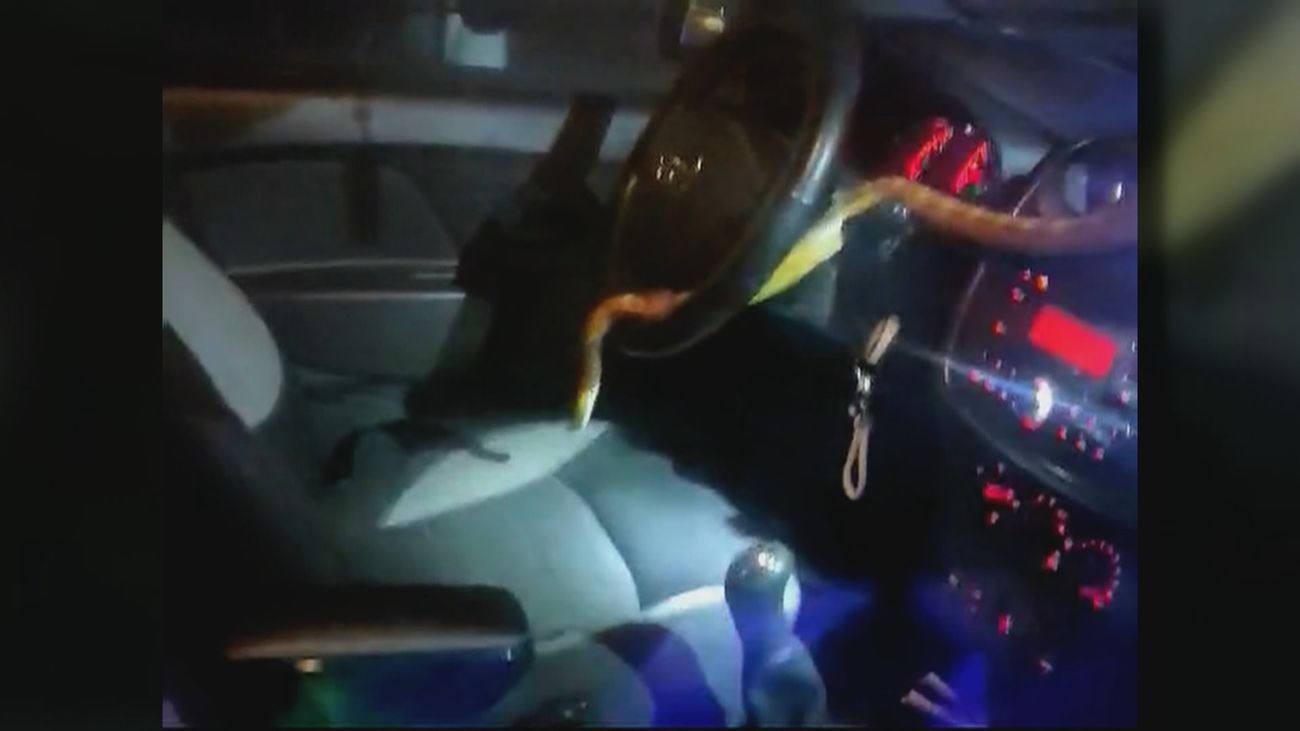 Una conductora en Madrid se encuentra una serpiente enroscada a sus pies cuando circulaba por la A-4
