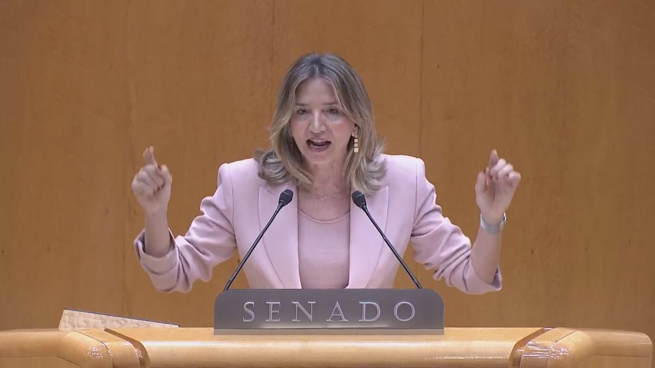 El Senado planteará un conflicto con el Congreso para que retire la ley de amnistía