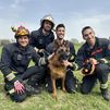 Rescatado un pastor alemán del interior de un pozo en Leganés