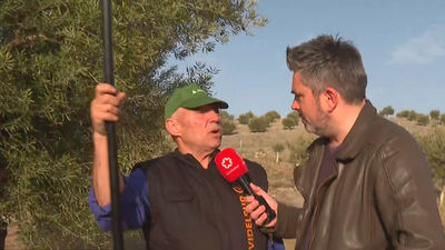 Los olivareros de Madrid, hartos de los ladrones: "Al próximo que vea en mi olivar, esta vara se la rompo en la cabeza"