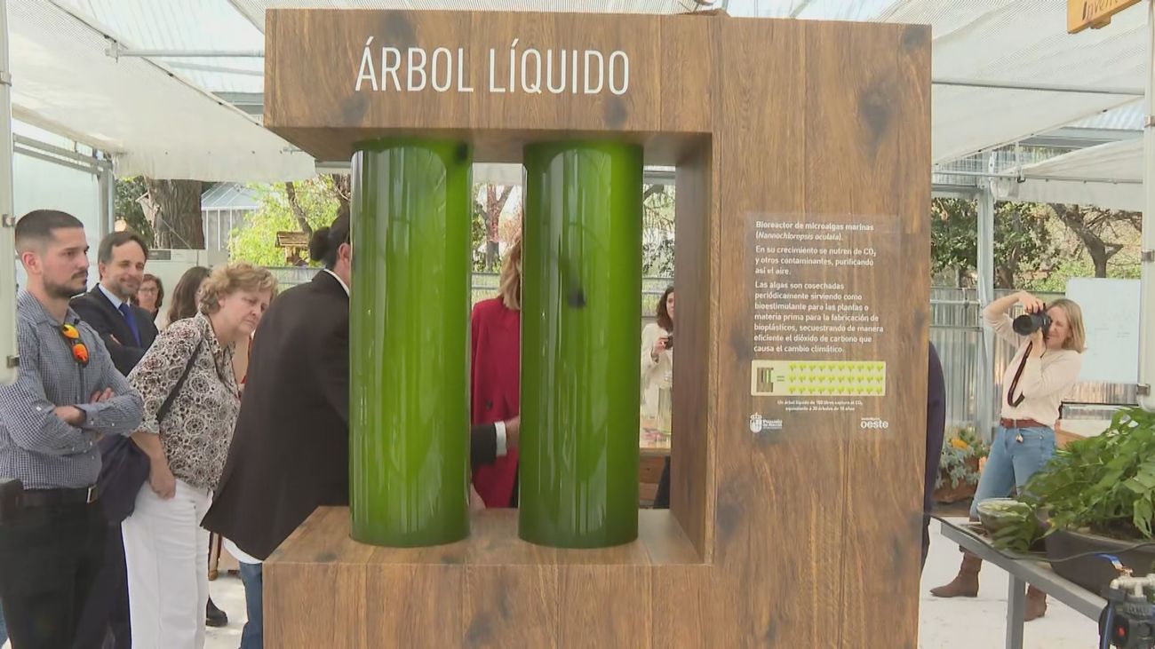 Un 'árbol líquido' en Pozuelo de Alarcón para capturar CO2
