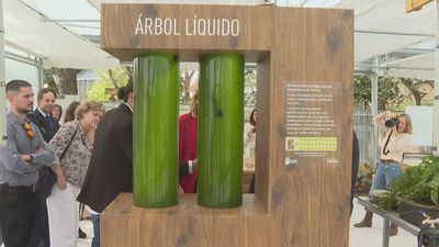 Un 'árbol líquido' en Pozuelo de Alarcón para capturar CO2