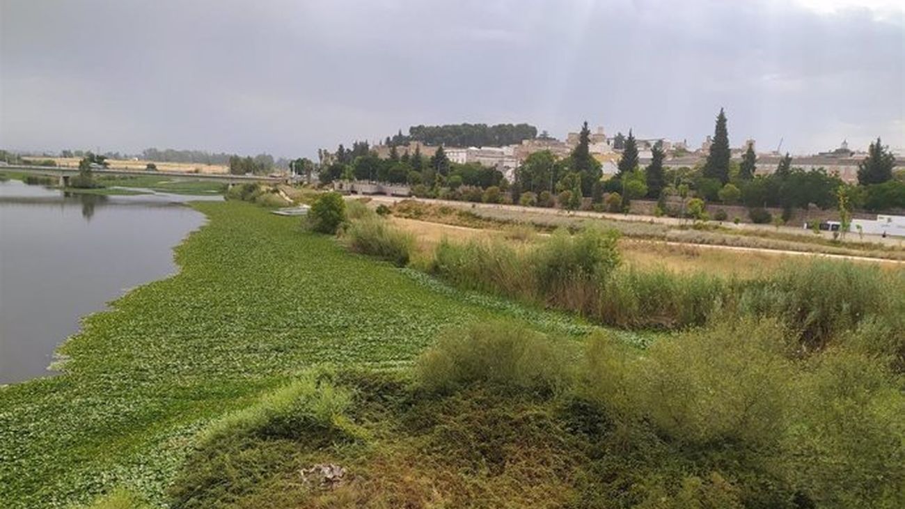 Río Guadiana a su paso por Badajoz