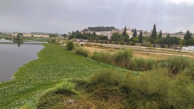 Buscan a un menor desaparecido en el río Guadiana a su paso por Badajoz