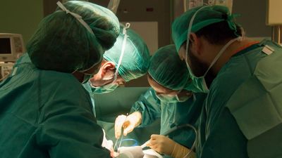 España se fija superar los 6.000 trasplantes al año tras arrancar 2024 con un nuevo máximo