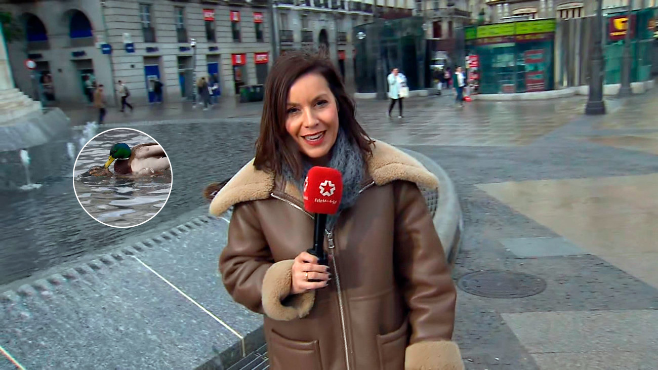 Patos pillados 'in fraganti' se convierten en curiosos protagonistas de una conexión en directo en la Puerta del Sol