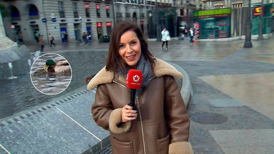 Patos pillados 'in fraganti' se convierten en curiosos protagonistas de una conexión en directo en la Puerta del Sol