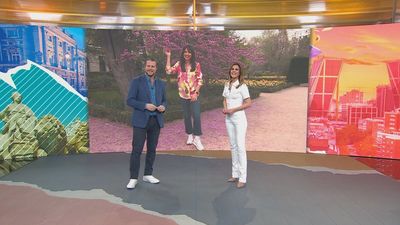 Disfruta Madrid 21.03.2024