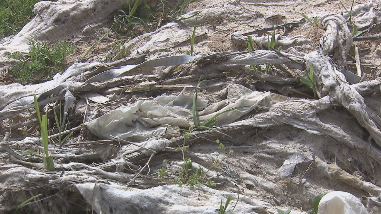 Las toallitas arrojadas al inodoro envenenan el Jarama a su paso por la región