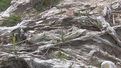Las toallitas arrojadas al inodoro envenenan el Jarama a su paso por la región