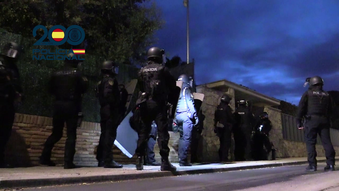 Catorce detenidos e intervenidas 10.000 plantas de  marihuana y 59 reptiles exóticos en Cataluña