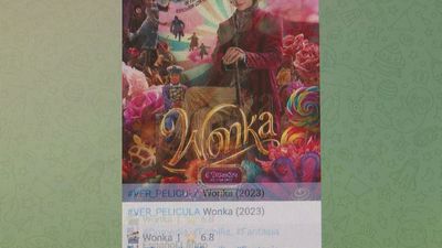 El juez Pedraz da tres horas a los operadores para suspender Telegram tras la recepción de su comunicación