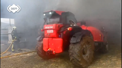 Varias vacas con quemaduras en el incendio de una explotación en Otur, Asturias