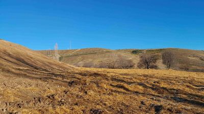 Recuperado un paisaje de El Molar tras derribar un edificio y renaturalizar la zona