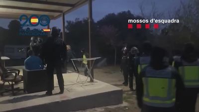 Seis detenidos por asaltar plantaciones de marihuana haciéndose pasar por policías