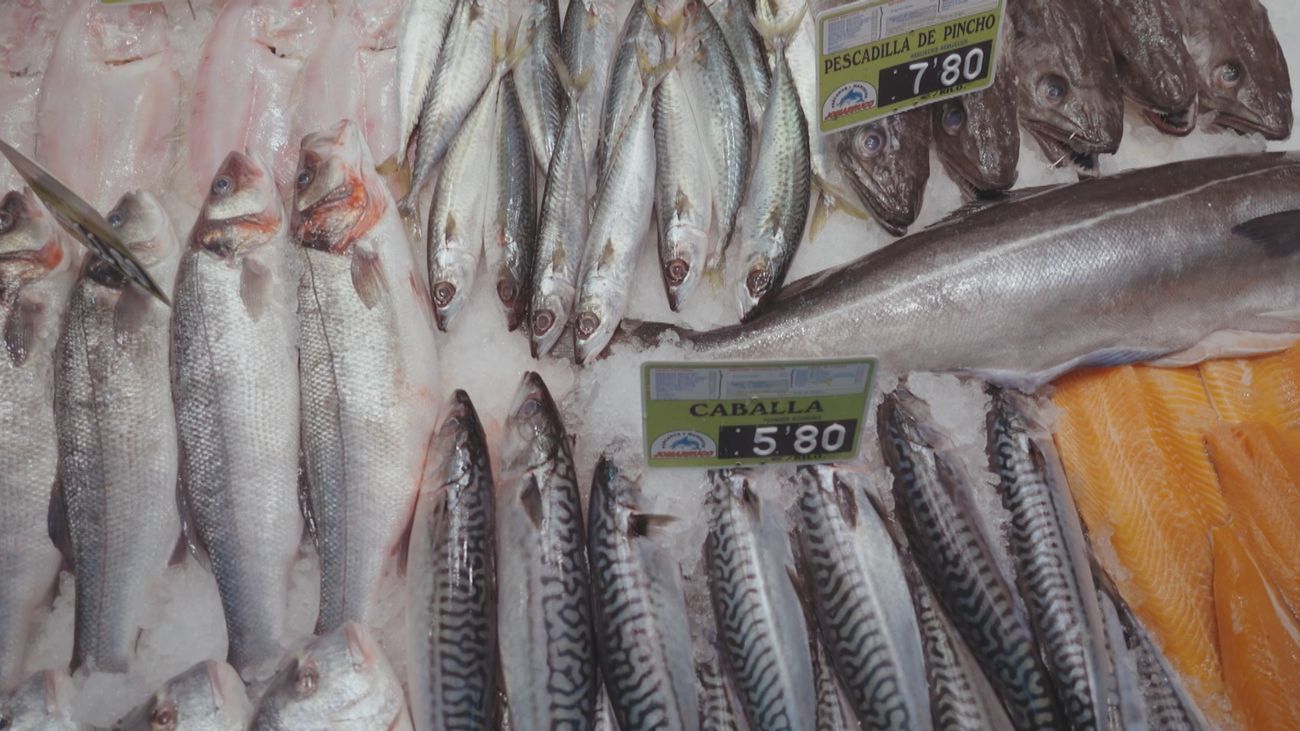 ¿Conoces las diferencias entre el pescado del norte y del sur?