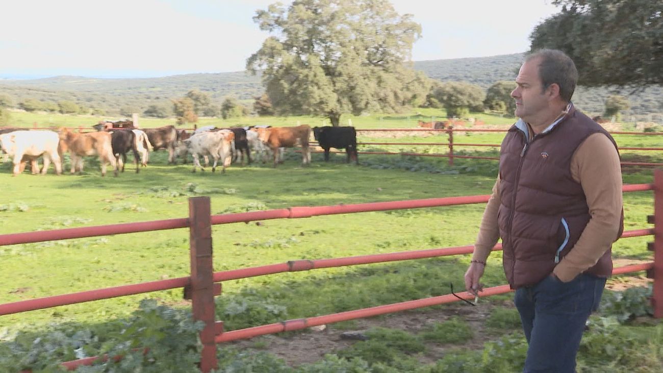 Una nueva bajada del precio de la leche aboca a muchos ganaderos a echar el cierre