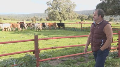 Una nueva bajada del precio de la leche aboca a muchos ganaderos a echar el cierre