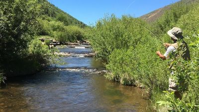 Si te gusta pescar recuerda las limitaciones en esta época en la Comunidad