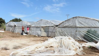 Un trabajo de la Politécnica desvela la 'espiral insostenible' de la agricultura