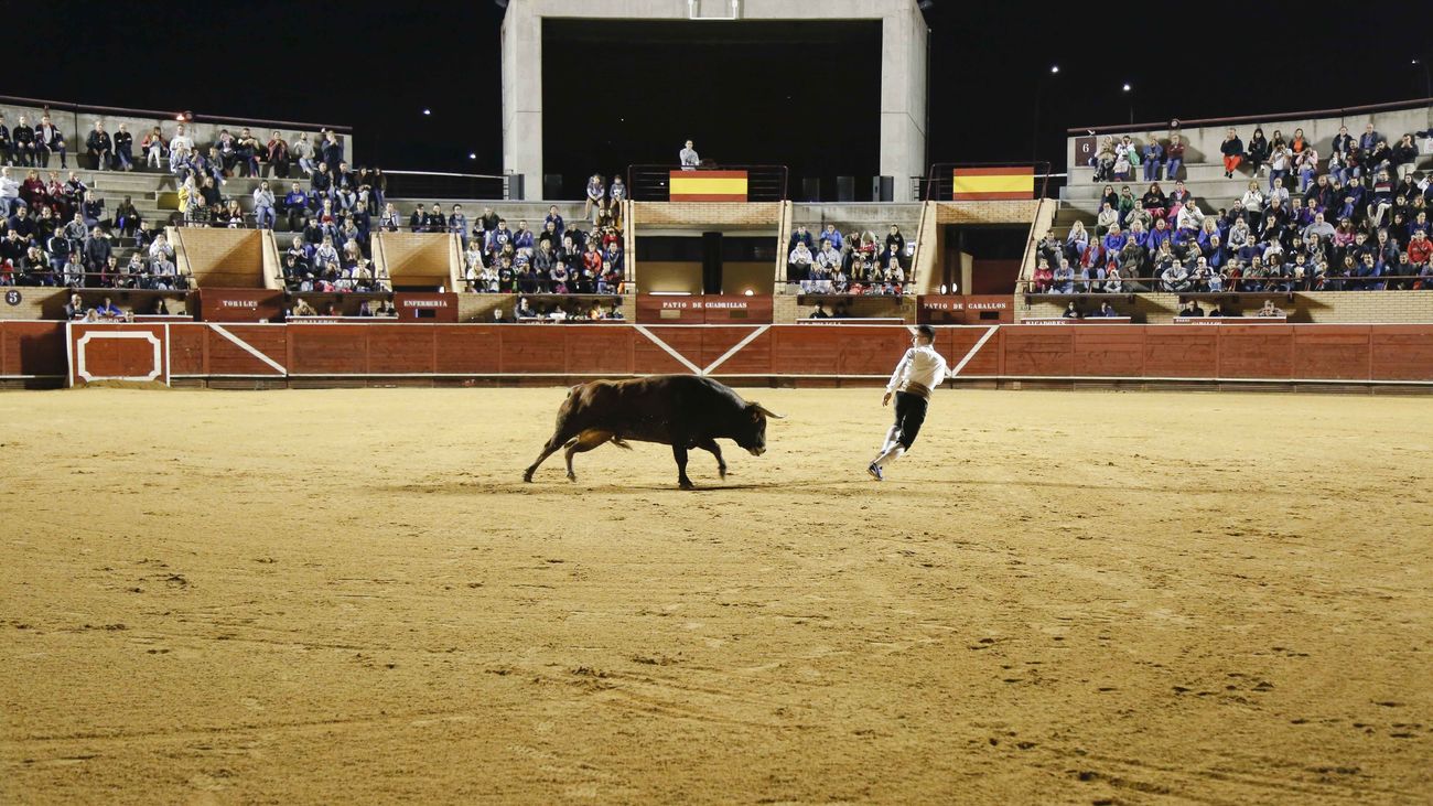 Concurso de recortes en la plaza de toros de Móstoles