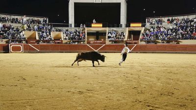 Los toros volverán a Móstoles para las fiestas del Dos de Mayo