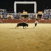 Los toros volverán a Móstoles para las fiestas del Dos de Mayo