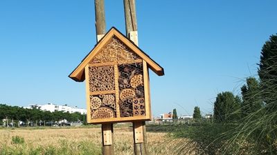 Taller infantil este domingo para crear 'hoteles de insectos' en Alcalá