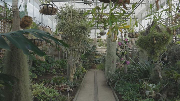 Real Jardín Botánico de Alcalá de Henares / Telemadrid