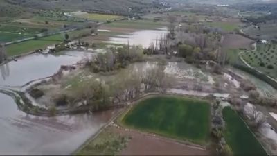 El Tajuña, desbordado en Tielmes, preocupa a los productores de ajos