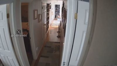 Un terremoto de magnitud 4,8 en Nueva Jersey se siente en toda Nueva York