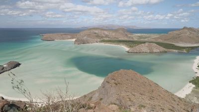 Los Cabos de México, el lugar que Cousteau denominó como "acuario del mundo"