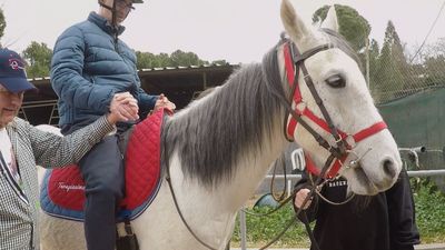 ¿Qué beneficios ofrece la equinoterapia para personas con autismo?