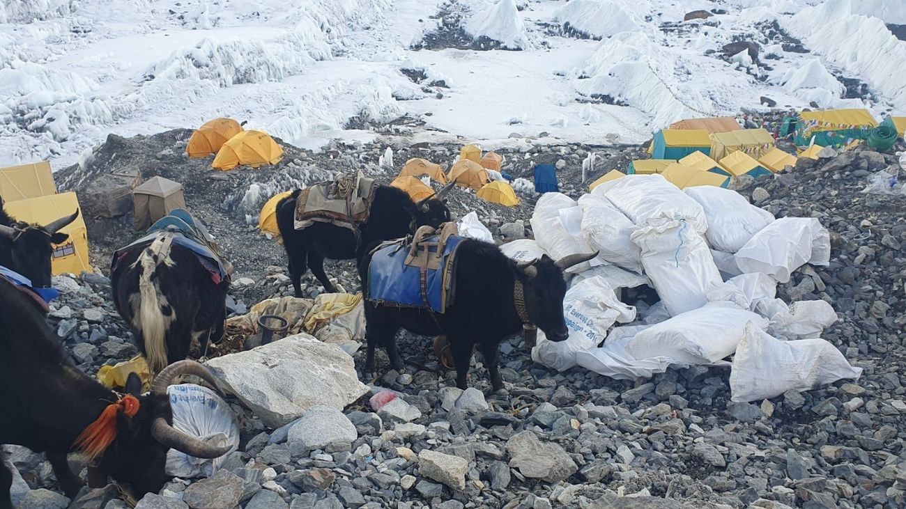 Recogida de basura en el campamento base del monte Everest