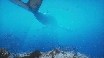 ¿Cómo afectan los cambios de estación al fondo marino?