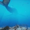 ¿Cómo afectan los cambios de estación al fondo marino?