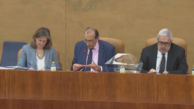 Leguina y otros 6 nuevos consejeros de la Cámara de Cuentas ratificados por la Asamblea