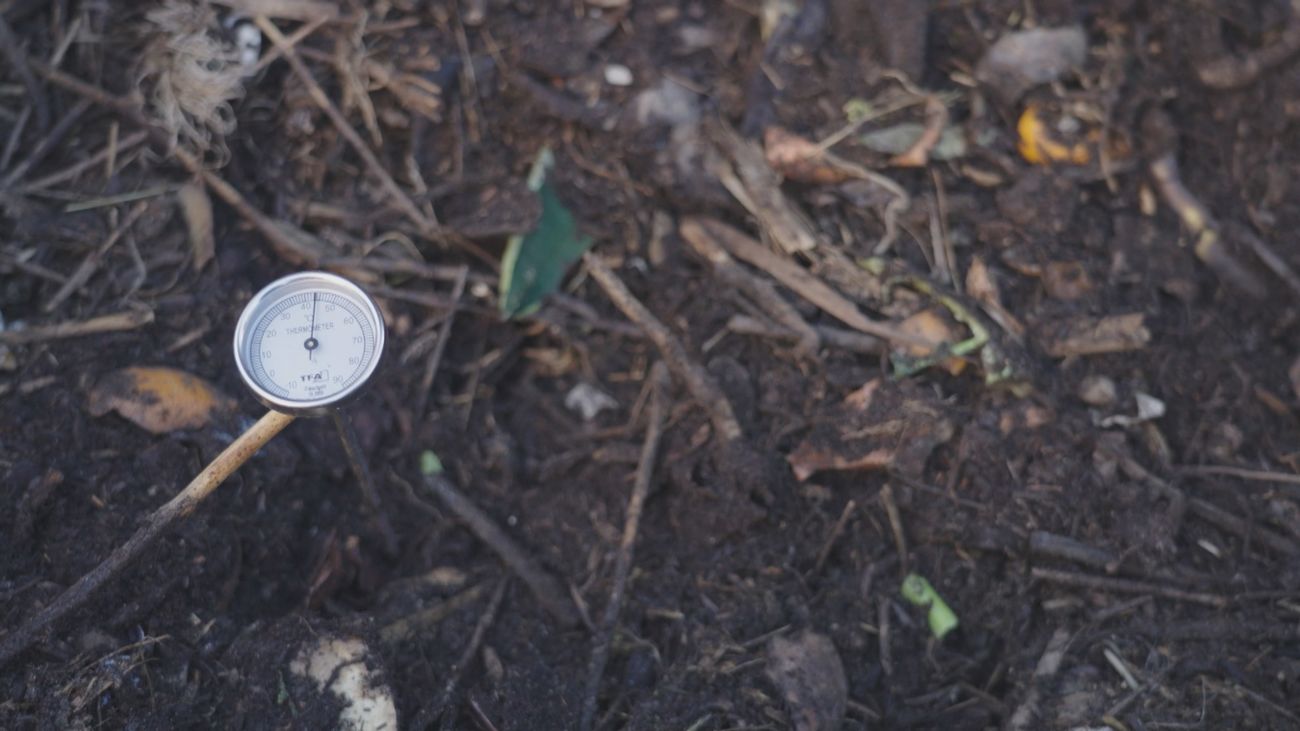 El compostaje, la nueva forma de cocinar pollo
