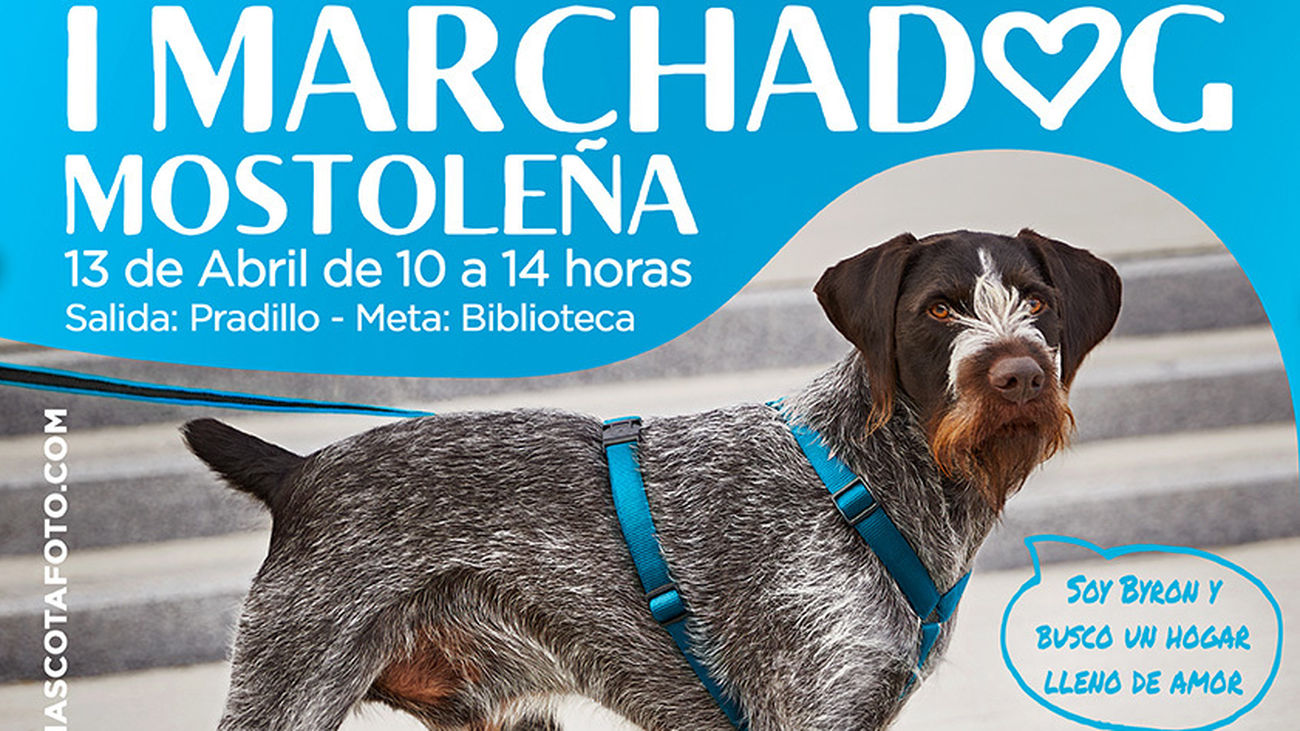 Cartel de la marcha canina solidaria de Móstoles