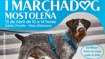Este fin de semana, primera marcha canina solidaria de Móstoles