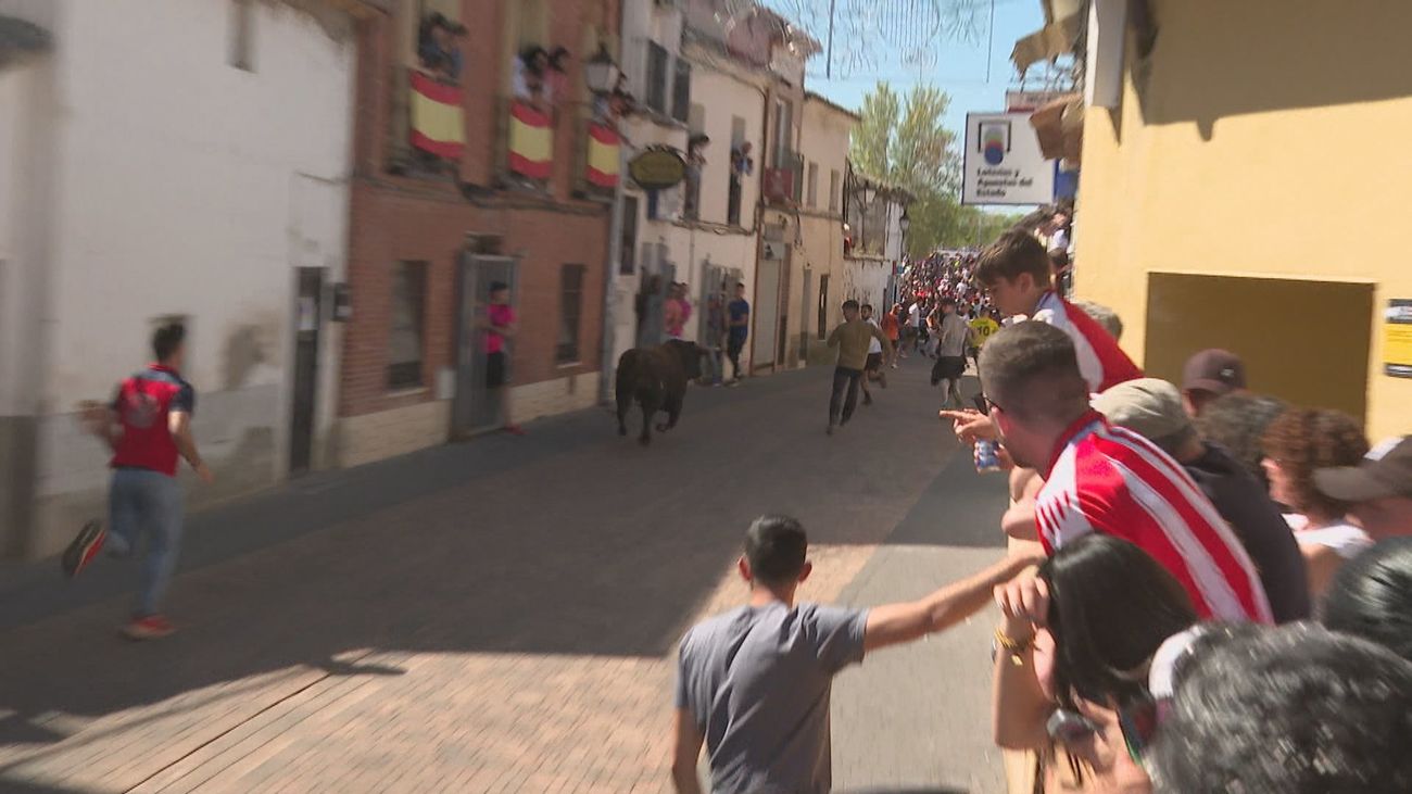 Talamanca del Jarama celebra sus encierros en plenas fiestas patronales