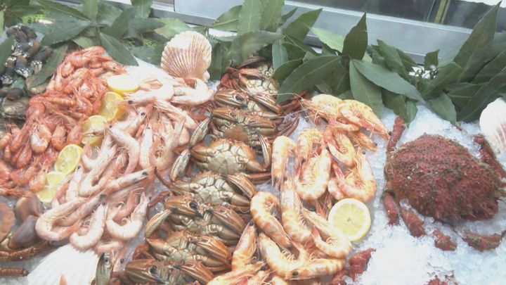 'El Gran Barril' en Goya / Telemadrid